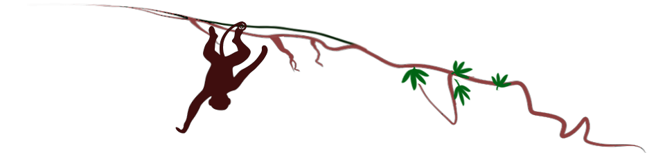 Vine ruler